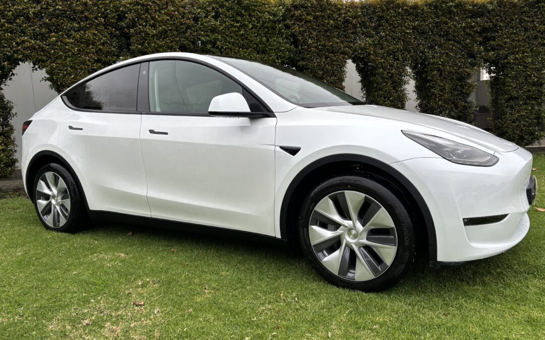 Tesla Model Y Long Range Tração Integral